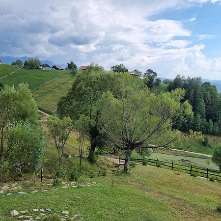Villa Magura Rustic Tiny House Esterno foto