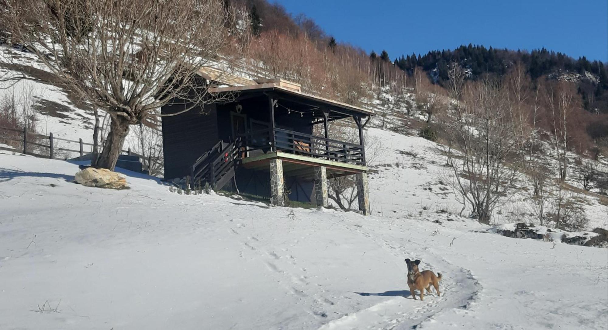 Villa Magura Rustic Tiny House Esterno foto