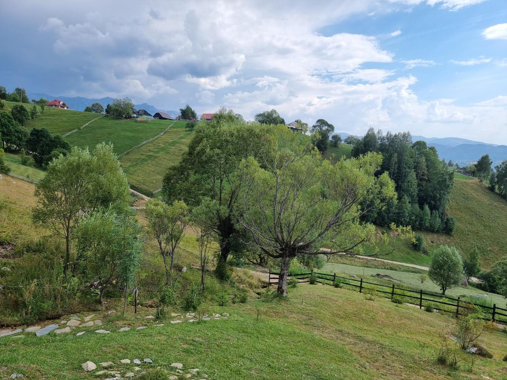 Villa Magura Rustic Tiny House Esterno foto